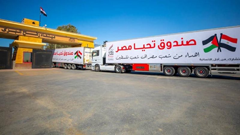 المساعدات المصرية