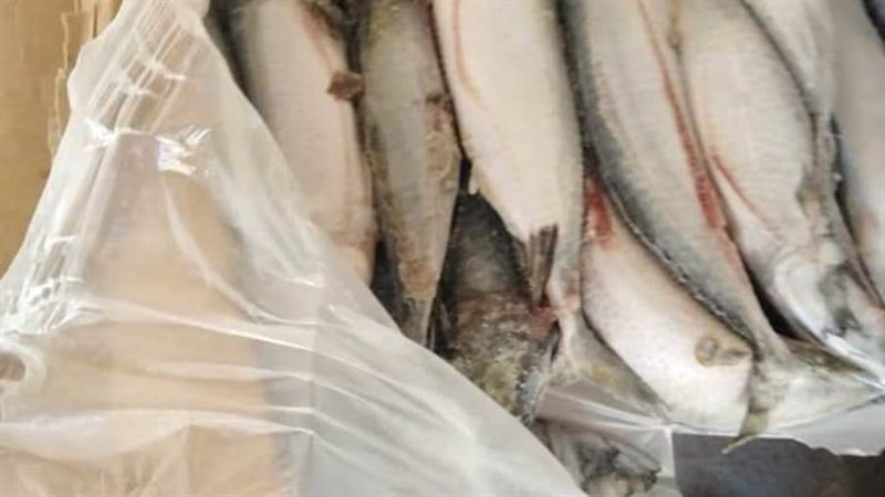 جانب من المضبوطات