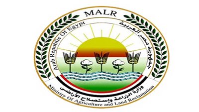 الزراعة: استمرار حركة صادرات المحاصيل الزراعية المصرية إلى السعودية