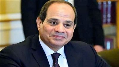 ناشطة شبابية فلسطينية : الرئيس السيسي زعيم مخلص لوطنه وأمته العربية والقضية الفلسطينية