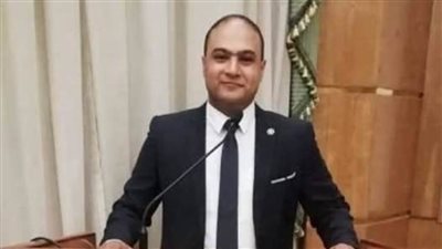 كريم مصيلحي: الرئيس السيسي أعاد لمصر مكانتها بين الدول العربية والإفريقية