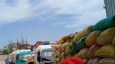 سوهاج: ارتفاع محصول القمح المورد إلى أكثر من 114 ألف طن