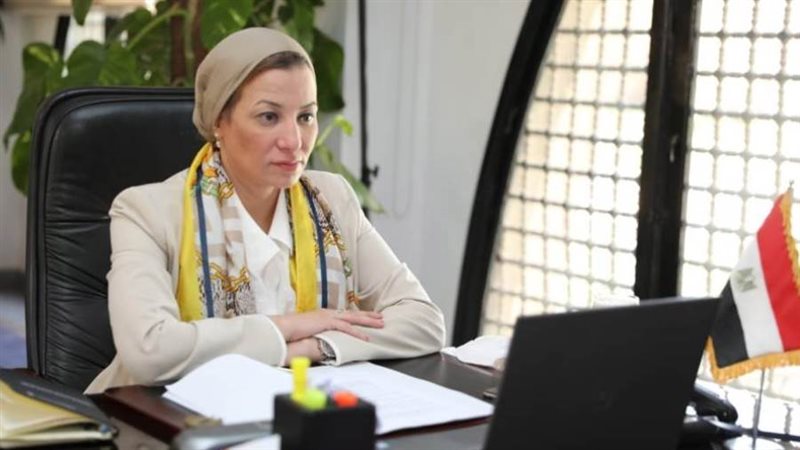 الدكتورة ياسمين فؤاد