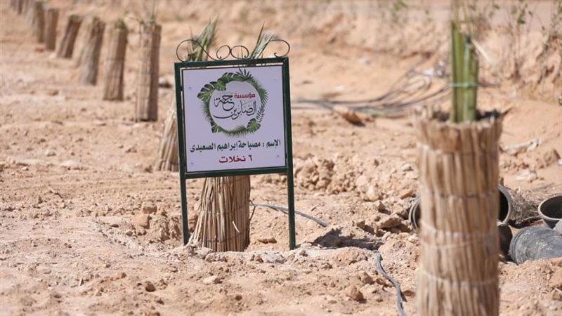 النخيل الذى تبرع