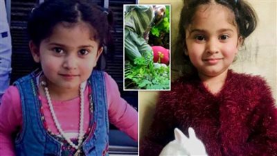 عاجل| حيوان شرس يفترس عصفورة الجنة