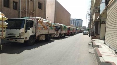 توريد 644798 طنًا و247 كجم قمح لصوامع وشون الشرقية