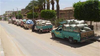 مزارعو المنيا ورّدوا 337 ألف طن قمح لشون وصوامع المنيا