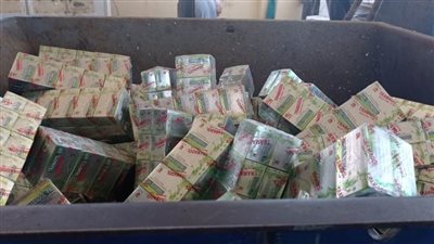 محافظة الإسكندرية تعدم 13 طنًا من مخدر التامول بمدفن الناصرية للمخلفات الخطرة