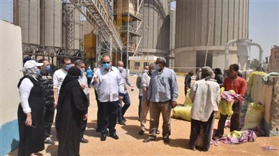 محافظ أسيوط: توريد 148 ألف طن قمح إلى الشون والصوامع وحصاد 233 ألفًا و171 فدانًا