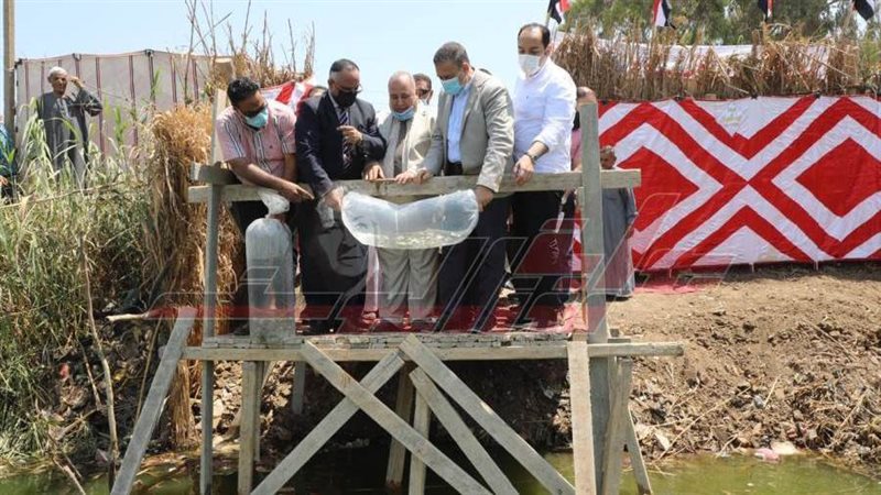 إلقاء ذريعة الأسماك