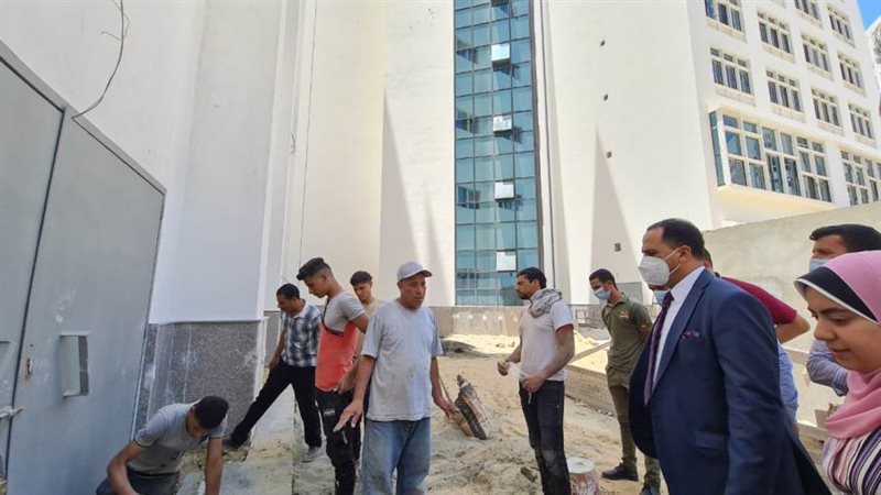 رئيس جامعة دمنهور