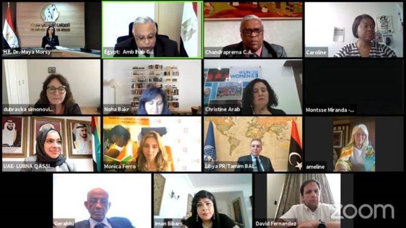 جانب من الجلسة الافتراضية