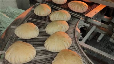 ضبط 5 أطنان جبن رومي فاسد وإحالة 101 محضر للنيابة بالدقهلية