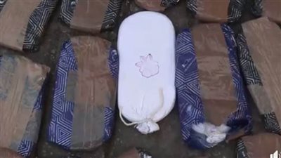 ضبط تشكيل عصابي بحوزته كمية من المخدرات قبل ترويجها بالقليوبية