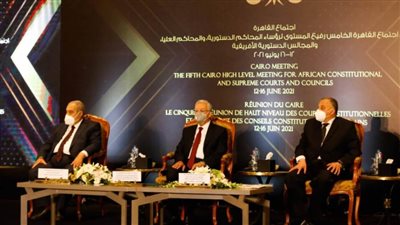 رئيس المحكمة العليا في الجزائر: التجربة المصرية ألهمتنا طرقاً لمكافحة الإرهاب