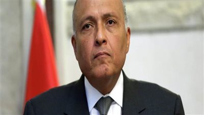 عاجل | سامح شكري: سنواجه بحزم أي إجراء أحادي من إثيوبيا بشأن السد