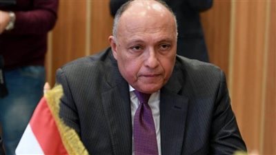 سامح شكري عن المصالحة مع تركيا: لنا مطالب منها عدم التدخل في الشئون الداخلية