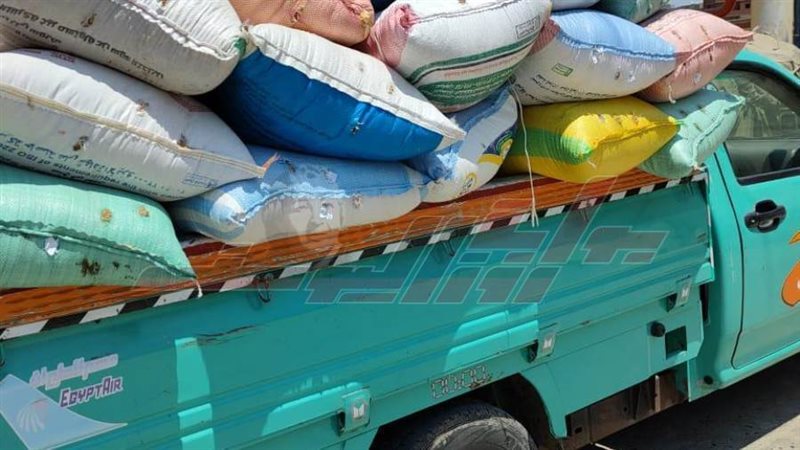 القمح المضبوط