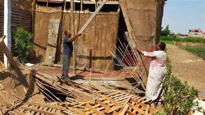 حملة لإزالة التعديات على الأراضي الزارعية بـ