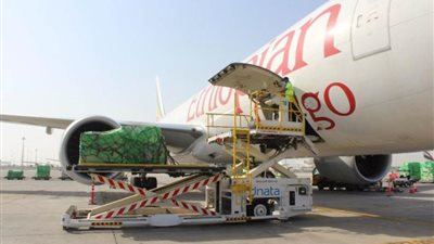 الإمارات: مساعدات عاجلة إلى الكونغو الديمقراطية للتغلب على آثار 