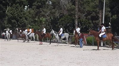 فرسان اتحاد الإعاقات الذهنية يبهرون الحاضرين في مهرجان ذوي الهمم