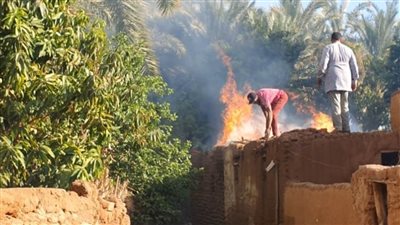 نشوب حريق بمزرعة نخيل بقرية الجديدة بمركز الداخلة بلوادي الجديد