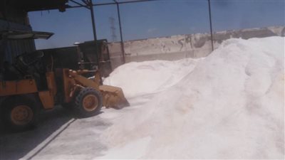 تموين الإسكندرية: حملات للتفتيش على مصانع تعبئة الملح