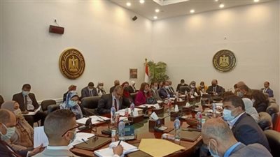 التعاون الدولي: الإعداد للدورة الأولى من اللجنة العليا المشتركة بين مصر وجنوب السودان