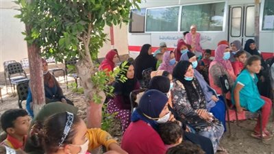 قافلة للتوعية بالمشكلة السكانية بقرية العلامية بالبحيرة