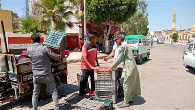 رفع ٣٨٨ حالة إشغال طريق ثابت ومتحرك فى حملة مكبرة بالبحيرة