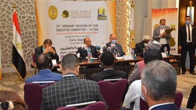 شعراوى: مصر تضع إمكانياتها لخدمة الأشقاء الأفارقة