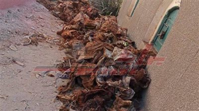 عاجل| عاطل ينبش المقابر ويستخرج 30 كفنًا بـ”المنوفية