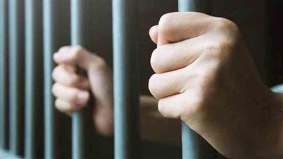 تأجيل محاكمة 3 متهمين بقتل سائق وسرقة مركبته بطوخ لـ10 أغسطس المقبل