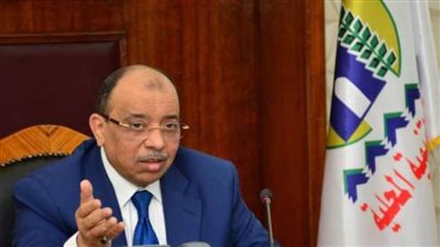 وزير التنمية المحلية: نلتزم بتقديم كافة أوجه الدعم لأفريقيا بتوجيهات القيادة السياسية