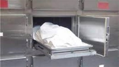 مصرع طفلة على يد شقيقها التوأم بـ