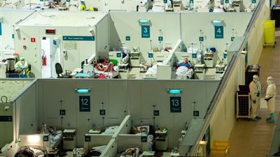 عمدة موسكو: سلالة 