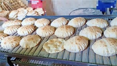 تحرير ٢١ محضرا لمخابز بلدية و٥٠ طن مخللات غير صالحة بالبحيرة