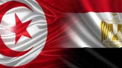 مصر - تونس تاريخ ثقافي وآفاق مشتركة في مبادرة بالأعلى للثقافة.. الأربعاء 