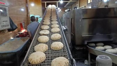 تحرير ٣٥ محضرا لمخابز بلدية وضبط ٣ مصانع بدون ترخيص بالبحيرة