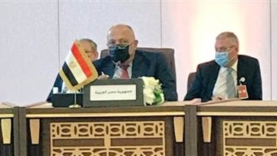 شكري يؤكد أهمية توافر المُناخ المُلائم لإحياء المسار التفاوضي من أجل التوصل لإقامة الدولة الفلسطينية