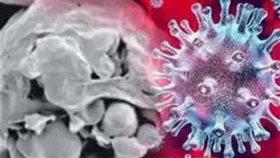 10 نصائح يجب تجنبها للوقاية من الفطر الأسود