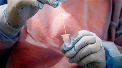 فاينانشال تايمز: السلالة 