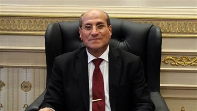 رئيس محكمة النقض: نقدر جهود الجيش والشرطة في حماية الأمن القومي المصري