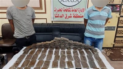 ضبط 120 طربة لمخدر الحشيش بحوزة عنصرين من العناصر الإجرامية بالدقهلية