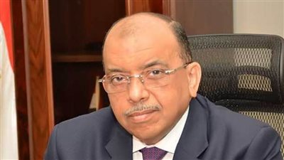 شعراوي:الدولة جادة في استقرار الأوضاع القانونية للمواطنين وتذليل المعوقات لتسليم العقود للجادين