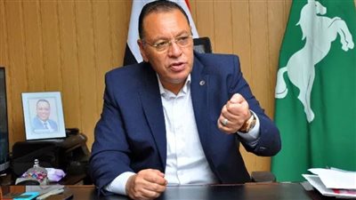 محافظ الشرقية يقرر دعم مستشفى السعديين بمليون جنيه ومكافأة العاملين بها