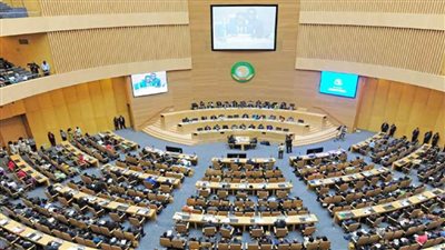 الاتحاد الأفريقي: الجزائر تصادق على الانضمام إلى اتفاقية 