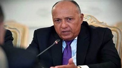 شكري يعقد سلسلة من اللقاءات على هامش 