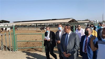 محافظ البحيرة يتفقد مشروع عاداة للثروة الحيوانية بكفر الدوار