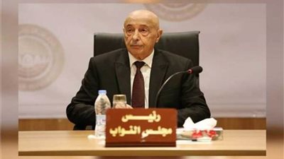 عقيلة صالح: حل الأزمة الليبية بإجراء الانتخابات المباشرة الجمعة